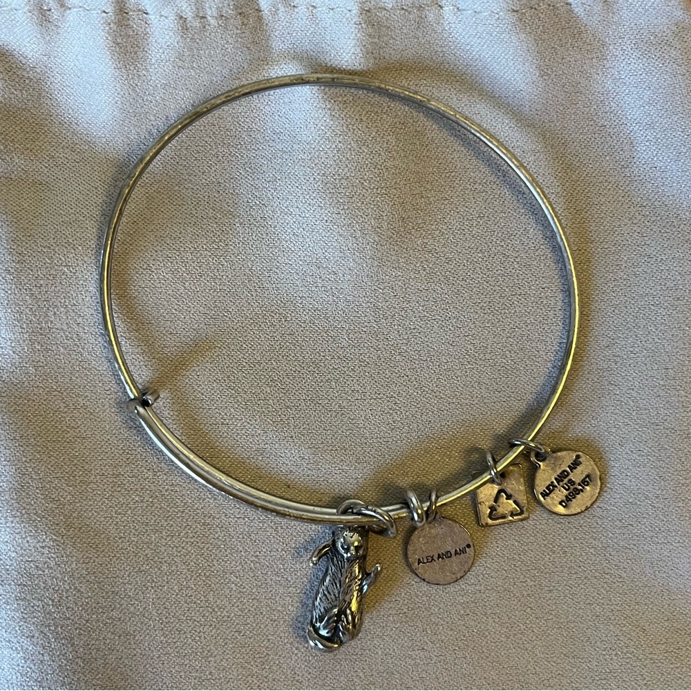 Alex and Ani Silver Charm Bracelet